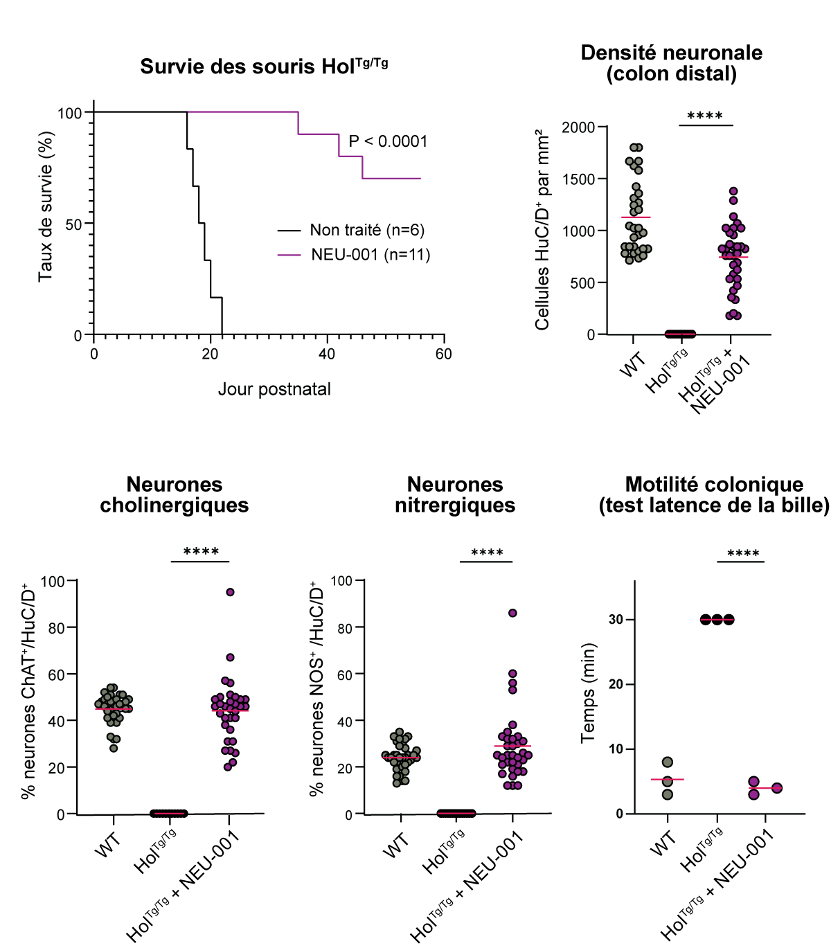 2E GÉNÉRATION DE TRAITEMENT